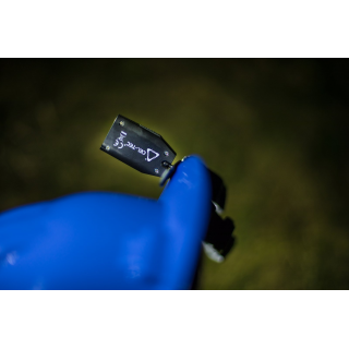 CEL-TEC HL170 COB Motion