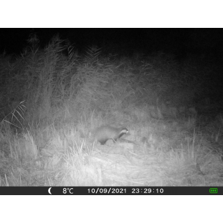 FOTOPASCA OXE GEPARD II A LOVECKÝ DETEKTOR + ZDARMA 32GB SD KARTA, 6KS BATÉRIÍ ZDARMA!