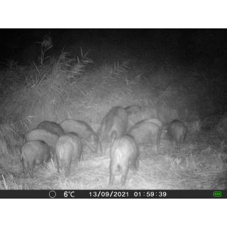 OXE Gepard II a lovecký detektor + 32GB SD karta