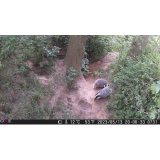 Elektrocentrála OXE Powerstation A501 (500W/540Wh) a fotopast OXE Gepard II