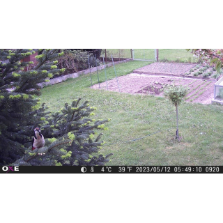 Elektrocentrála OXE Powerstation A501 (500W/540Wh) a fotopast OXE Gepard II