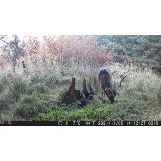 OXE Gepard II