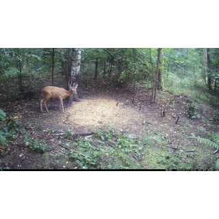 FOTOPASCA OXE VIPER A BINOKULÁRNE NOČNÉ VIDENIE OXE DV29