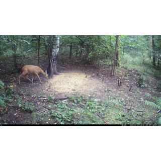 FOTOPASCA OXE VIPER A BINOKULÁRNE NOČNÉ VIDENIE OXE DV29