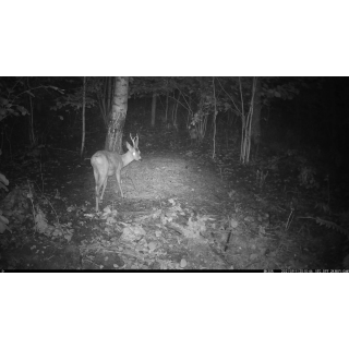 FOTOPASCA OXE VIPER A BINOKULÁRNE NOČNÉ VIDENIE OXE DV29