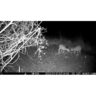 Fotopast OXE Tarantula WiFi 4K a kovový box + 32GB SD karta, 8ks baterií, stativ a doprava ZDARMA!