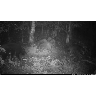 FOTOPASCA OXE VIPER A BINOKULÁRNE NOČNÉ VIDENIE OXE DV29