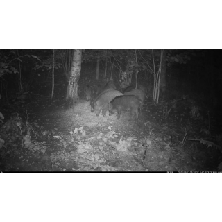 FOTOPASCA OXE VIPER A BINOKULÁRNE NOČNÉ VIDENIE OXE DV29