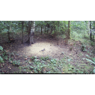 FOTOPASCA OXE VIPER A BINOKULÁRNE NOČNÉ VIDENIE OXE DV29