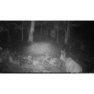 FOTOPASCA OXE VIPER A BINOKULÁRNE NOČNÉ VIDENIE OXE DV29