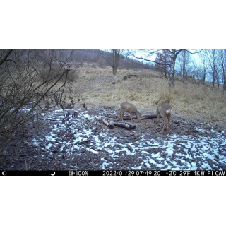 Fotopast OXE Tarantula WiFi 4K a kovový box + 32GB SD karta, 8ks baterií, stativ a doprava ZDARMA!