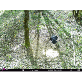 FOTOPASCA OXE HORNET 4G - ZDARMA SIM KARTA