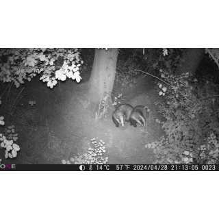 FOTOPASCA OXE GEPARD II A LOVECKÝ DETEKTOR + ZDARMA 32GB SD KARTA, 6KS BATÉRIÍ ZDARMA!