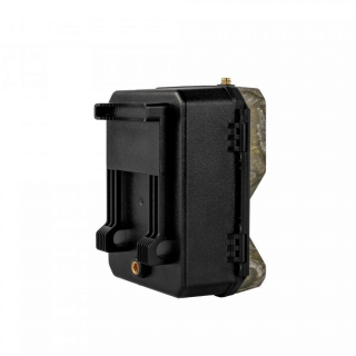 OXE Hornet 4G