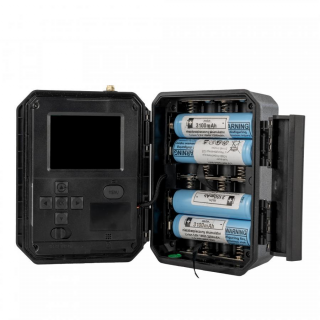 OXE Hornet 4G