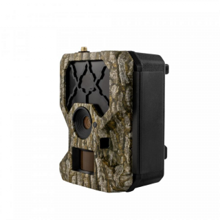 OXE Hornet 4G