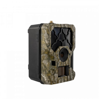OXE Hornet 4G