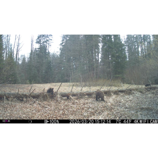 FOTOPASCA OXE VIPER A BINOKULÁRNE NOČNÉ VIDENIE OXE DV29