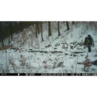 FOTOPASCA OXE VIPER A BINOKULÁRNE NOČNÉ VIDENIE OXE DV29