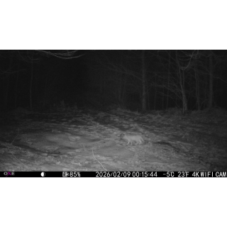 FOTOPASCA OXE VIPER A BINOKULÁRNE NOČNÉ VIDENIE OXE DV29