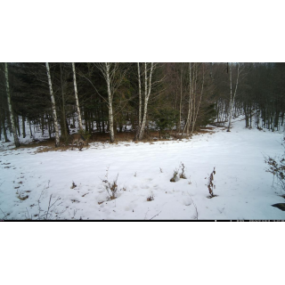 Fotopast OXE Tarantula WiFi 4K a kovový box + 32GB SD karta, 8ks baterií, stativ a doprava ZDARMA!