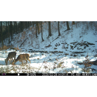 FOTOPASCA OXE VIPER A BINOKULÁRNE NOČNÉ VIDENIE OXE DV29