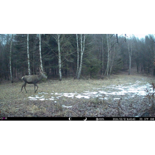 Fotopasca OXE Tarantula WiFi 4K A SOLÁRNY PANEL