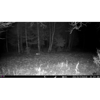 Fotopast OXE Tarantula WiFi 4K a kovový box + 32GB SD karta, 8ks baterií, stativ a doprava ZDARMA!