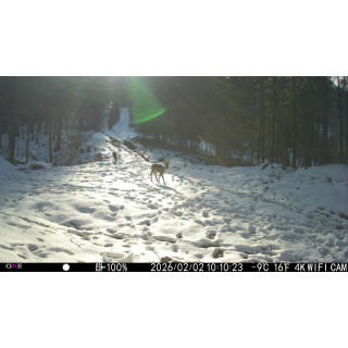 FOTOPASCA OXE VIPER A BINOKULÁRNE NOČNÉ VIDENIE OXE DV29