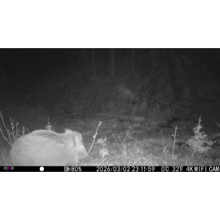 FOTOPASCA OXE VIPER A BINOKULÁRNE NOČNÉ VIDENIE OXE DV29