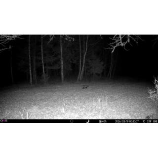 Fotopasca OXE Tarantula WiFi 4K A SOLÁRNY PANEL