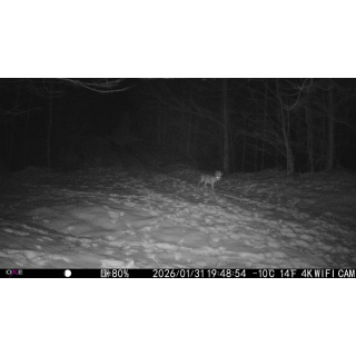 FOTOPASCA OXE VIPER A BINOKULÁRNE NOČNÉ VIDENIE OXE DV29