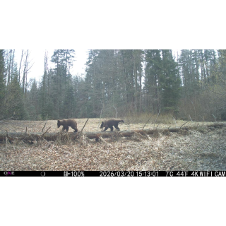 FOTOPASCA OXE VIPER A BINOKULÁRNE NOČNÉ VIDENIE OXE DV29
