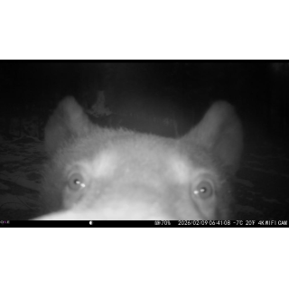 FOTOPASCA OXE VIPER A BINOKULÁRNE NOČNÉ VIDENIE OXE DV29