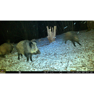 Fotopast KeepGuard KG799W a kovový box + zdarma 32GB SD karta, 8ks baterií a doprava!