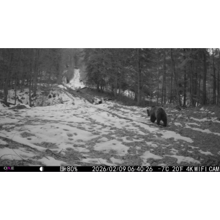 FOTOPASCA OXE VIPER A BINOKULÁRNE NOČNÉ VIDENIE OXE DV29