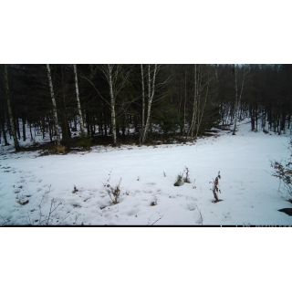 Fotopast OXE Tarantula WiFi 4K a kovový box + 32GB SD karta, 8ks baterií, stativ a doprava ZDARMA!