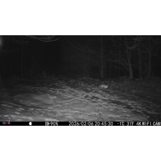 FOTOPASCA OXE VIPER A BINOKULÁRNE NOČNÉ VIDENIE OXE DV29