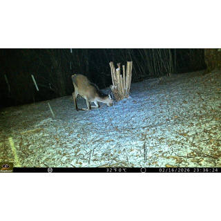 Fotopast KeepGuard KG799W a kovový box + zdarma 32GB SD karta, 8ks baterií a doprava!