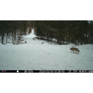 FOTOPASCA OXE VIPER A BINOKULÁRNE NOČNÉ VIDENIE OXE DV29