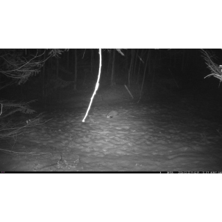 FOTOPASCA OXE WIFI LOVEC RD3019 A KLASICKÝ ĎALEKOHĽAD FOMEI 7-21X40 ZCF ZOOM