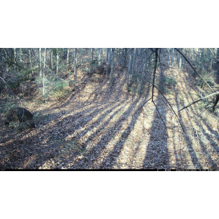 Fotopasca OXE WiFi Lovec RD3019 a binokulárne nočné videnie OXE DV29