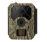 OXE Hornet 4G
